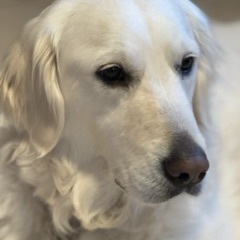 Fundraising Page: Vivian Hary